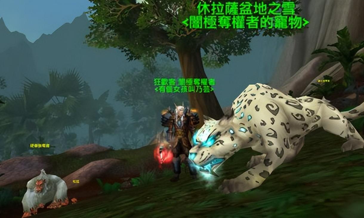 wow猎人pvp带什么宠物（猎人最佳宠物排行榜）