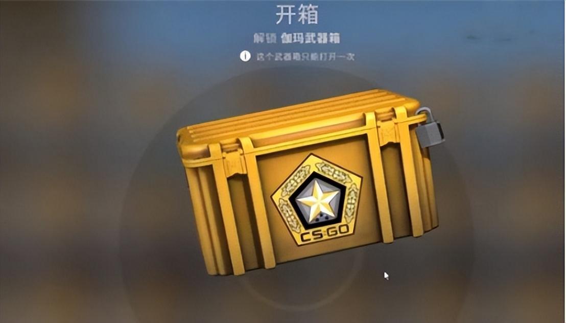 csgo各种箱子可以开出什么（csgo适合新手开的箱子）