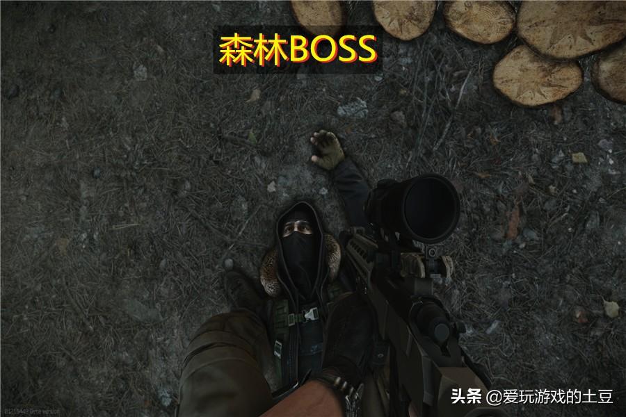 逃离塔科夫boss图鉴（逃离塔科夫储备站森林BOSS图鉴）